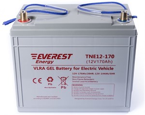 Everest TNE 12-170 - тяговый аккумулятор 266103 - фото 9198