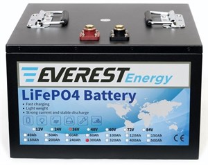 Everest Energy LFP-36V300Аh - литиевый тяговый аккумулятор 256066 - фото 9463