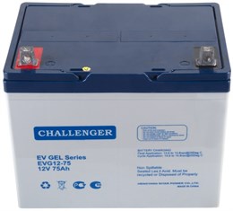 Challenger EVG12-75 - тяговый аккумулятор 266028