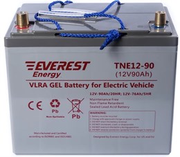 Everest TNE 12-90 - тяговый аккумулятор 266101