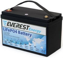 Everest Energy LFP-24V50Аh - литиевый тяговый аккумулятор 245050