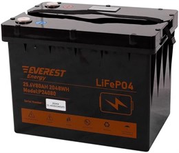 Everest Energy LFP-24V80Аh (Bluetooth) - литиевый тяговый аккумулятор 248080