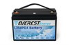 Everest Energy LFP-24V50Аh - литиевый тяговый аккумулятор 245050 - фото 9442