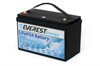 Everest Energy LFP-24V50Аh - литиевый тяговый аккумулятор 245050 - фото 9444