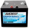 Everest Energy LFP-36V200Аh - литиевый тяговый аккумулятор 256065 - фото 9458