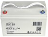 SKN 6-EVF-100 - тяговый аккумулятор (12V105A/H C5) 0000055 - фото 9507