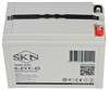 SKN 6-EVF-45 - тяговый аккумулятор (12V47.5A/H C5) 0000057 - фото 9514