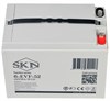 SKN 6-EVF-52 - тяговый аккумулятор (12V55A/H C5) 0000058 - фото 9517