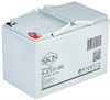 SKN 6-EVF-60 - тяговый аккумулятор (12V64A/H C5) 0000060 - фото 9522